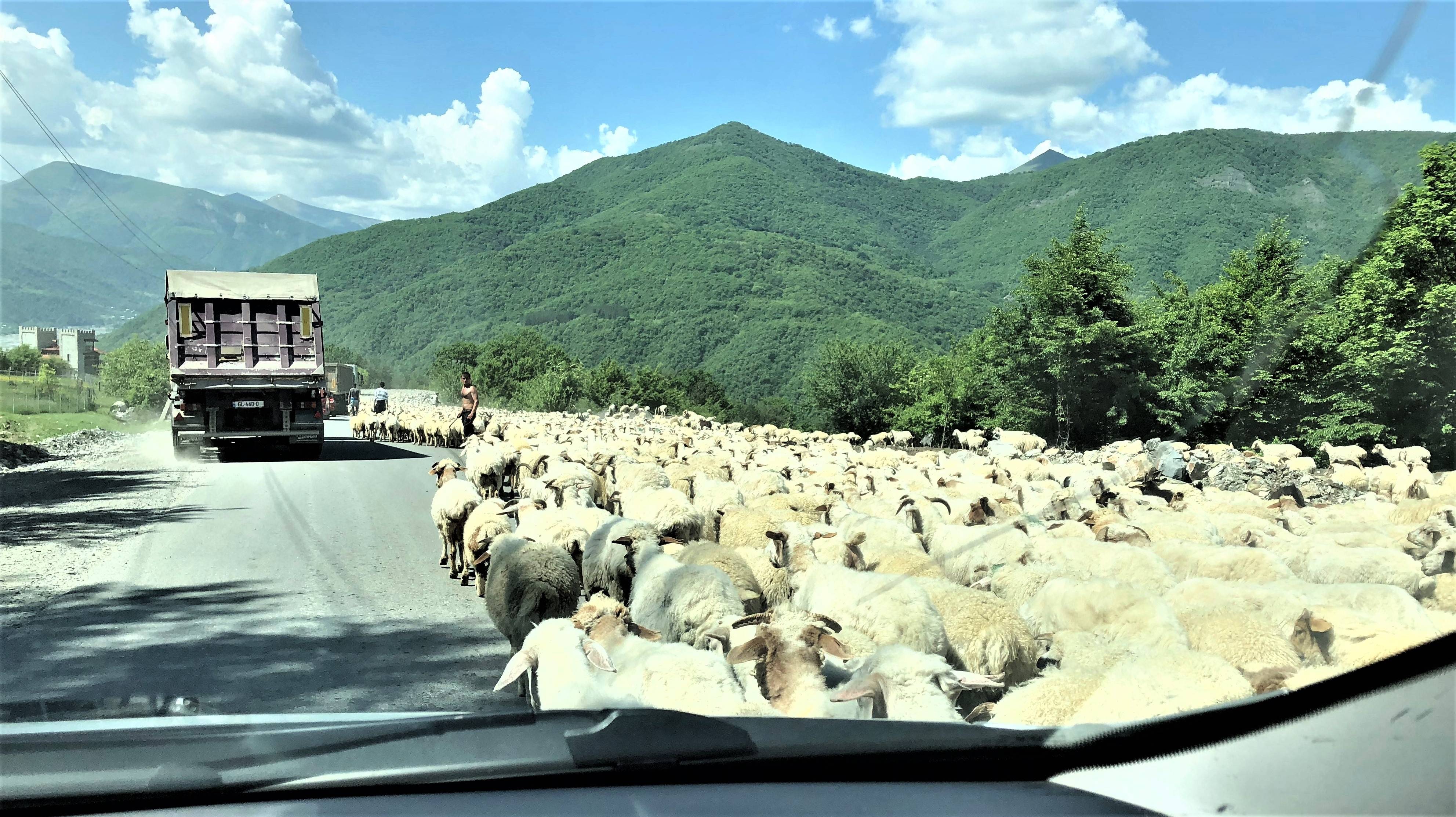 Georgia